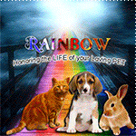 rainbow_bridge_by_kmygraphic-dcs14nz